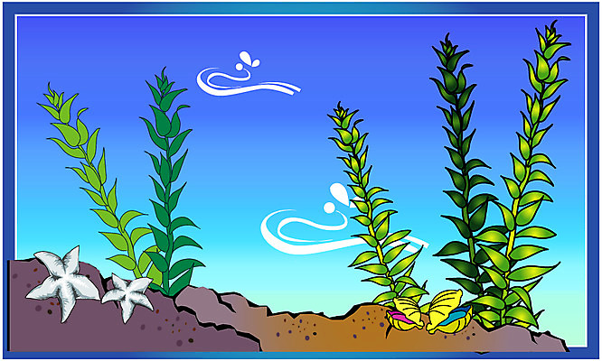 EPS 클립아트 바다 일러스트 불가사리 풍경 사람없음 물 심해 바닷속 해저 어항 국내일러스트 자연요소 극피동물 수중 파일형식 벡터