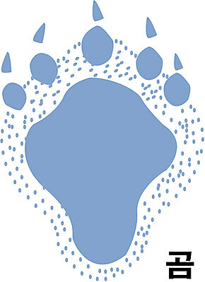 EPS 클립아트 동물 척추동물 육지동물 일러스트 곰 포유류 사람없음 발자국 곰발바닥 국내일러스트 자국 발바닥 파일형식 벡터