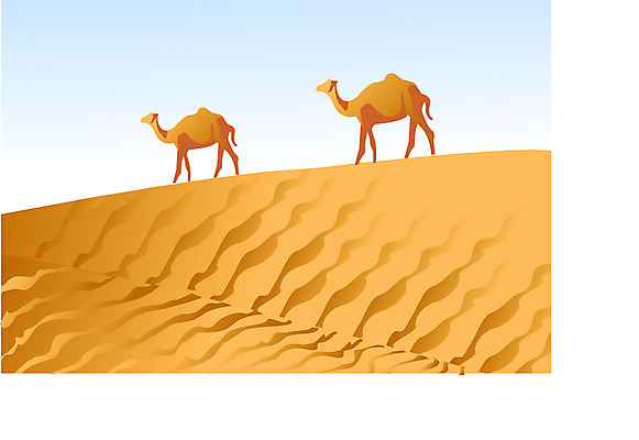 EPS 클립아트 동물 척추동물 육지동물 야생동물 모래 일러스트 포유류 풍경 사람없음 사막 낙타 실크로드 국내일러스트 파일형식 벡터