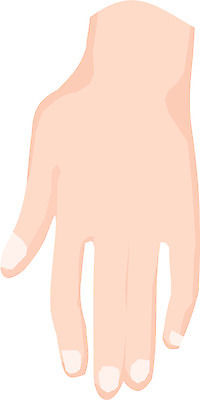 EPS 클립아트 손 신체 일러스트 손가락 신체부위 손등 국내일러스트 사람 파일형식 벡터