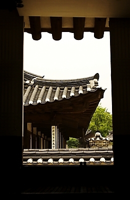 포토 JPG 주간 한국문화 한국전통 전통 시설물 건축 백그라운드 고건축 한국건축 한옥 주택 기와집 풍경 사람없음 야외 동양건축 대문 전통집 국내포토 자연요소 동양문화 건축물 한국 건물 문 파일형식 동양