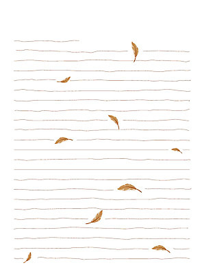 EPS 템플릿 종이 낙엽 문구용품 사각프레임 프레임 틀 사람없음 가을 편지지 사연 이미지템플릿 계절 잎 사각형 편지 오브젝트 파일형식 벡터