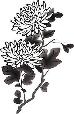 EPS 식물 한국전통 전통 꽃 백그라운드 일러스트 자연 국화 가을꽃 수묵화 사람없음 동양화 국내일러스트 한국 미술 생태계 파일형식 벡터 가을_계절