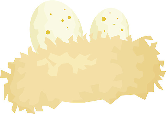 EPS 클립아트 동물 척추동물 일러스트 조류 사람없음 알 둥지 새알 국내일러스트 파일형식 벡터