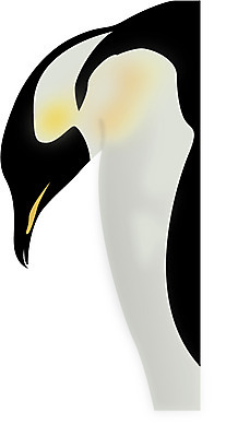 EPS 클립아트 동물 척추동물 야생동물 외국문화 일러스트 조류 사람없음 추위 남극 극지방 펭귄 황제펭귄 국내일러스트 문화 지역 파일형식 벡터