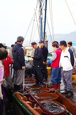 포토 JPG 주간 전신 여자 남자 산업 어류 어업 서기 여러명 상반신 성인 야외 어선 어부 해산물 어촌 수산시장 경매 성인만 국내포토 자연요소 직업 다수 배_교통 모션 사람 경제 수중동물 시골 시장 파일형식