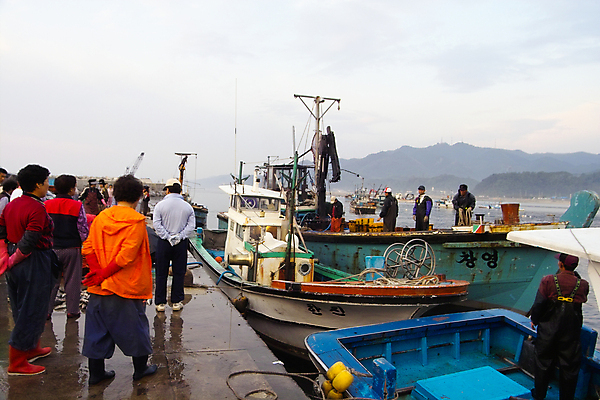 포토 JPG 주간 전신 여자 남자 어업 서기 사람 여러명 상반신 성인 야외 항구 어선 어부 어촌 경매 성인만 국내포토 자연요소 직업 산업 다수 배_교통 교통시설 모션 경제 시골 파일형식