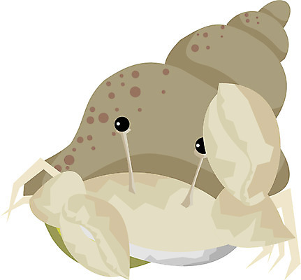 EPS 클립아트 동물 한마리 모래 절지류 일러스트 갑각류 사람없음 바다동물 게 소라게 국내일러스트 1 바다 수중동물 파일형식 벡터