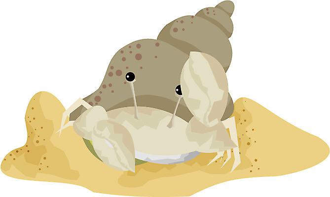 EPS 클립아트 동물 한마리 모래 절지류 일러스트 갑각류 사람없음 바다동물 게 소라게 국내일러스트 1 바다 수중동물 파일형식 벡터