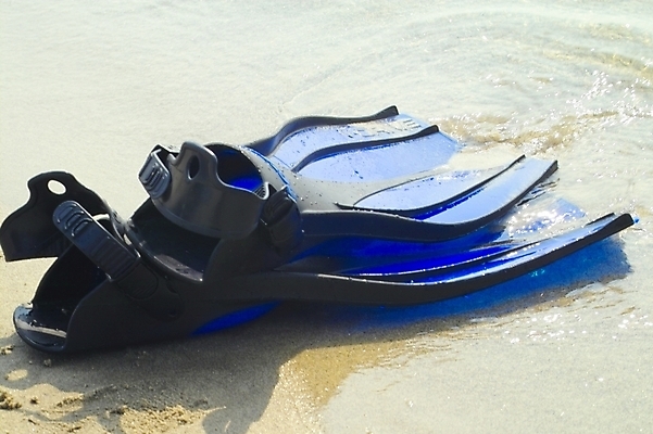 포토 JPG 주간 모래 스포츠용품 바다 해변 사람없음 야외 레포츠 모래사장 스노클링 오리발 스쿠버다이빙 스쿠버다이빙용품 국내포토 자연요소 스포츠 레저 수상스포츠 오브젝트 파일형식