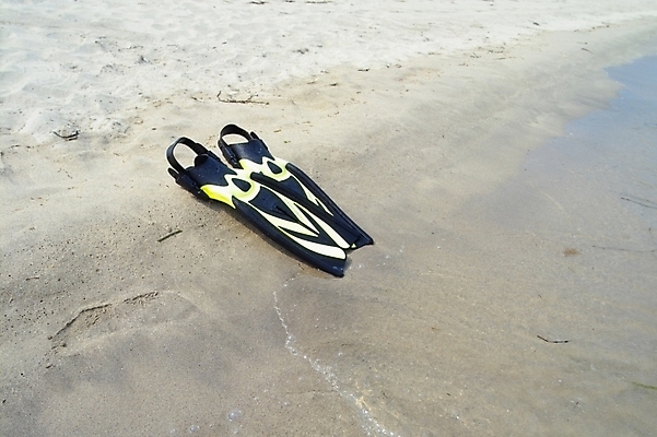 포토 JPG 주간 바다 여행 휴가 풍경 해변 사람없음 야외 장비 오리발 스쿠버다이빙 스쿠버다이빙용품 국내포토 자연요소 스포츠용품 수상스포츠 파일형식