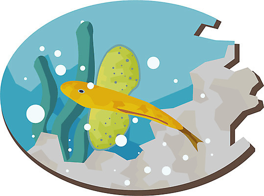 EPS 클립아트 동물 척추동물 한마리 일러스트 어류 사람없음 날치 국내일러스트 1 수중동물 파일형식 벡터