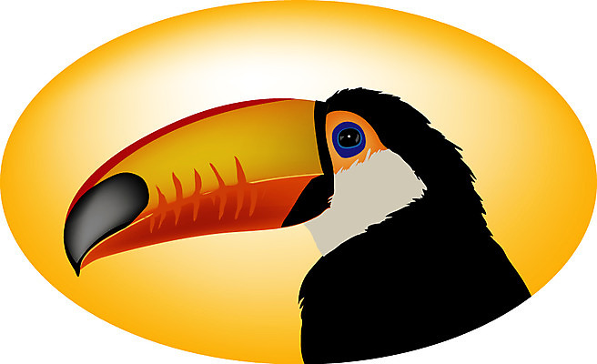 EPS 동물 한마리 일러스트 조류 사람없음 부리 주둥이 큰부리새 트로피컬아트 국내일러스트 1 그림 파일형식 벡터