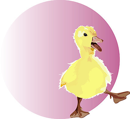 EPS 동물 척추동물 한마리 새끼 컬러 일러스트 조류 오리 병아리 사람없음 노란색 오리새끼 국내일러스트 1 파일형식 벡터