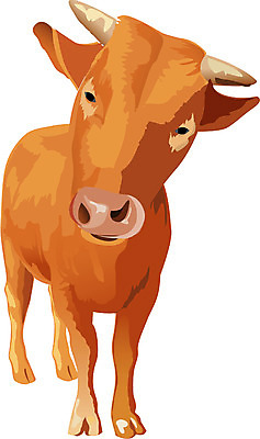 EPS 동물 척추동물 한마리 육지동물 컬러 일러스트 포유류 사람없음 갈색 가축 소 호기심 황소 소뿔 국내일러스트 1 감정 컨셉 뿔 파일형식 벡터