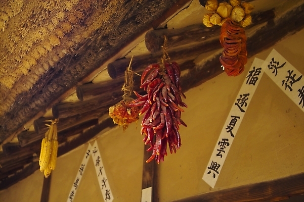 포토 JPG 주간 전통 시설물 건축 고건축 한국건축 자연 고추 주택 한국 초가집 옥수수 풍경 사람없음 야외 동양건축 처마 말린고추 국내포토 자연요소 건축물 아시아 채소 한옥 곡류 건물 생태계 파일형식 동양