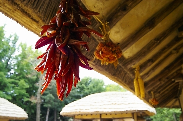 포토 JPG 주간 전통 시설물 건축 음식 고건축 채소 한국건축 자연 고추 주택 한국 초가집 풍경 사람없음 야외 동양건축 처마 말린고추 국내포토 자연요소 건축물 아시아 한옥 건물 생태계 파일형식 동양