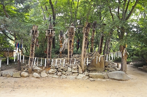 포토 JPG 주간 나무 식물 전통 종교 상징 종교용품 사람없음 야외 돌_바위 무속 무속신앙용품 장승 수호신 마을수호신 국내포토 자연요소 신_종교 파일형식