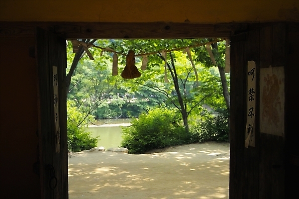 포토 JPG 주간 나무 식물 전통 시설물 현대건축 건축 사람없음 야외 문 연못 건축부분 대문 전통문 금줄 국내포토 자연요소 건축물 줄 파일형식