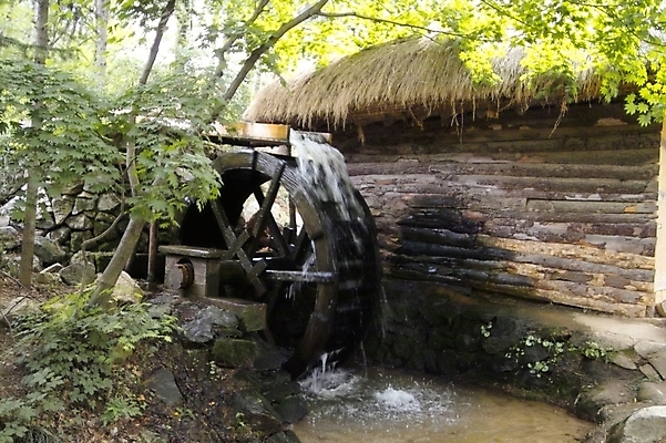 포토 JPG 주간 나무 식물 전통 시설물 건축 잎 나뭇잎 주택 사람없음 야외 건물 물 나뭇가지 물레방아 국내포토 자연요소 건축물 파일형식