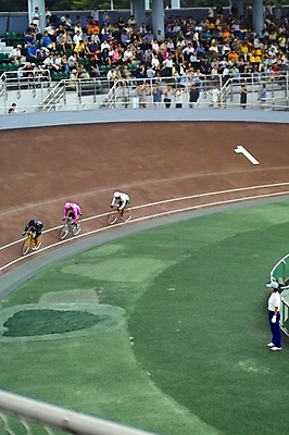 포토 JPG 주간 스포츠 레저 운동선수 사람 야외 레포츠 자전거 군중 사이클선수 경륜장 사이클링 국내포토 자연요소 스포츠시설 바이크 육상스포츠 파일형식