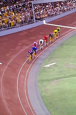 포토 JPG 주간 스포츠 레저 운동선수 사람 야외 레포츠 자전거 군중 사이클선수 경륜장 사이클링 국내포토 자연요소 스포츠시설 바이크 육상스포츠 파일형식