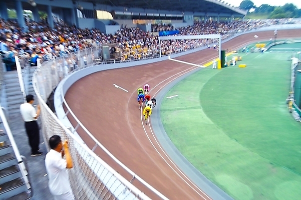 포토 JPG 주간 스포츠 레저 운동선수 사람 야외 레포츠 자전거 군중 사이클선수 경륜장 사이클링 국내포토 자연요소 스포츠시설 바이크 육상스포츠 파일형식