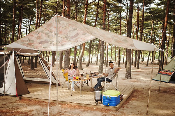 포토 JPG 주간 전신 나무 식물 라이프스타일 부부 여자 남자 커피 모션 탁자 휴식 한국 텐트 사람 앉기 동양인 성인 야외 두명 30대 캠핑 한국인 마시기 숲 캠핑장 천막 강원도 양양군 부부라이프 장년만 성인만 국내포토 자연요소 커플 아시아 음료 가구 컨셉 레저 캠핑도구 인종 생활 장년 파일형식