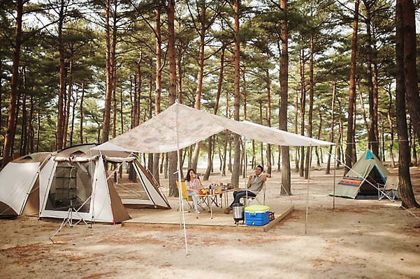 포토 JPG 주간 전신 나무 식물 라이프스타일 부부 여자 남자 커피 모션 탁자 휴식 한국 텐트 사람 앉기 동양인 성인 야외 두명 30대 캠핑 한국인 마시기 숲 캠핑장 천막 강원도 양양군 부부라이프 장년만 성인만 국내포토 자연요소 커플 아시아 음료 가구 컨셉 레저 캠핑도구 인종 생활 장년 파일형식