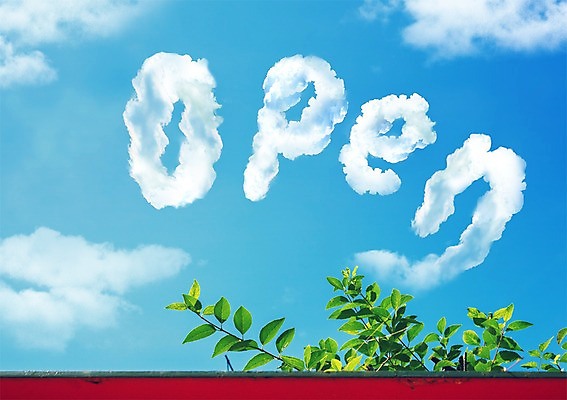 PSD 식물 구름 편집 편집이미지 백그라운드 자연 하늘 나뭇잎 이벤트 사람없음 오픈 뭉게구름 이미지편집 자연요소 잎 생태계 파일형식 구름_자연