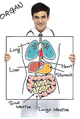 서양인 외국인 편집이미지 배너 남자 청진기 포토일러 건강 병원 한명 웃음 들기 사람 상반신 20대 성인 신체부위 치료 의사 심장 가운 의사가운 허파 장기 간 대장 소장 위장 남자만 남자한명만 성인남자만 청년만 청년남자만 청년남자한명만 성인한명만 성인남자한명만 성인만 이미지편집 AI파일 1 옷 신체 의학 의료기기 모션 표정 인종 청년 의료진 장기_의학 호흡기관 파일형식 벡터