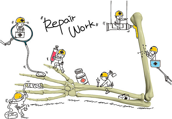 편집이미지 캐릭터 손 남자 청진기 포토일러 노동자 뼈 건강 병원 주사기 사람 여러명 치료 물감 의사 공구 못 구급상자 약병 망치 안전모 붕대 팔 보수공사 정형외과 남자만 이미지편집 AI파일 직업 다수 의학 의료기기 신체부위 약 미술도구 의료진 도구 의료용품 헬멧 안전장비 병_담는 파일형식 벡터