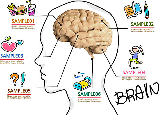편집이미지 음료 음식 생각 포토일러 건강 병원 사람 치료 책 달리기 운동 연필 머리 감자튀김 햄버거 물음표 하트 침대 잠 느낌표 두뇌 뇌 콜라 이미지편집 AI파일 모양 기호 가구 의학 모션 학용품 감자 패스트푸드 신체부위 필기구 튀김 탄산음료 파일형식 벡터