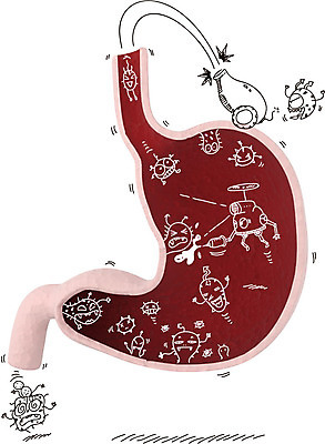 편집이미지 캐릭터 포토일러 건강 병원 사람없음 치료 내장 장기 질병 위장 박테리아 균 이미지편집 AI파일 신체 의학 장기_의학 파일형식 벡터