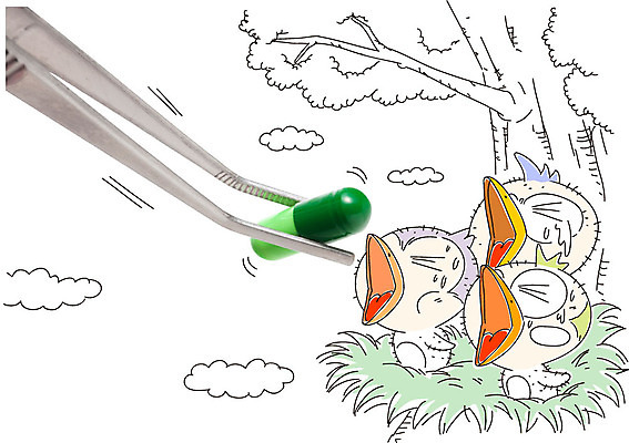 나무 식물 동물 편집이미지 캐릭터 새끼 조류 포토일러 사람없음 치료 알약 약 둥지 먹이 핀셋 이미지편집 AI파일 의학 도구 파일형식 벡터