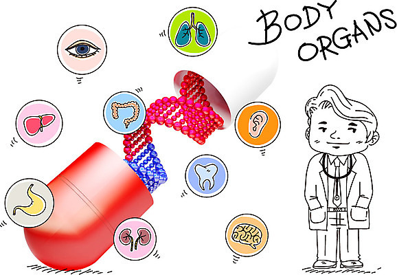 편집이미지 남자 청진기 포토일러 한명 사람 성인 신체부위 치료 알약 약 의사 허파 치아 장기 생명공학 뇌 간 대장 귀 염색체 위장 안구 남자만 남자한명만 성인남자만 성인만 이미지편집 AI파일 1 신체 의학 의료기기 의료진 소화기관 장기_의학 호흡기관 파일형식 벡터