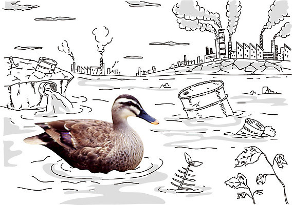 동물 편집이미지 캠페인 공장 조류 포토일러 오리 굴뚝 사람없음 강 자연보호 그린캠페인 환경오염 오염 연기 쓰레기 드럼통 폐수 이미지편집 AI파일 컨셉 공업 자연 보호 파일형식 벡터