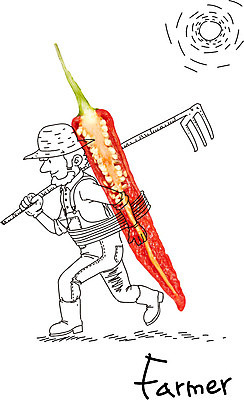 편집이미지 캐릭터 모자 남자 음식 채소 고추 포토일러 단면 한명 사람 성인 옆모습 농작물 태양 농사 수확 농부 농기구 홍고추 남자만 남자한명만 성인남자만 성인만 이미지편집 AI파일 자연요소 직업 1 잡화 뷰포인트 농업 파일형식 벡터