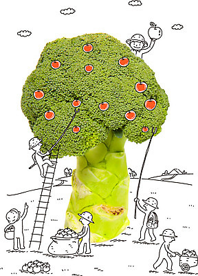 구름 편집이미지 웰빙 열매 남자 음식 채소 과일 사다리 포토일러 노동자 사람 여러명 농작물 수레 수확 사과 농부 브로콜리 농기구 남자만 이미지편집 AI파일 자연요소 식물 직업 다수 농업 카트 도구 파일형식 벡터