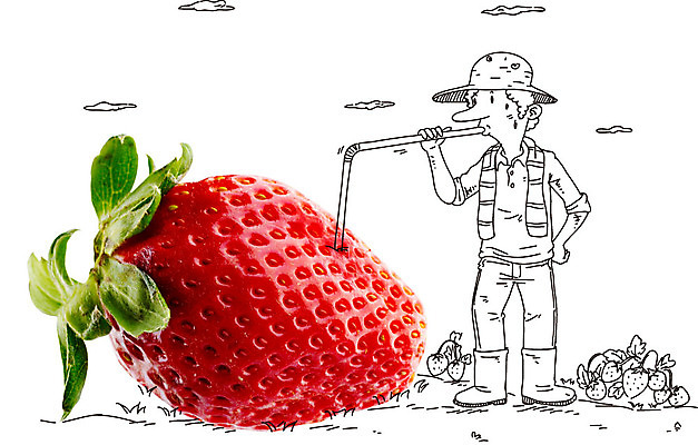 전신 구름 편집이미지 캐릭터 모자 남자 음식 과일 포토일러 딸기 빨대 장화 한명 서기 사람 성인 농작물 수건 농사 농부 먹기 남자만 남자한명만 성인남자만 성인만 이미지편집 AI파일 자연요소 직업 1 잡화 신발 농업 모션 위생용품 파일형식 벡터