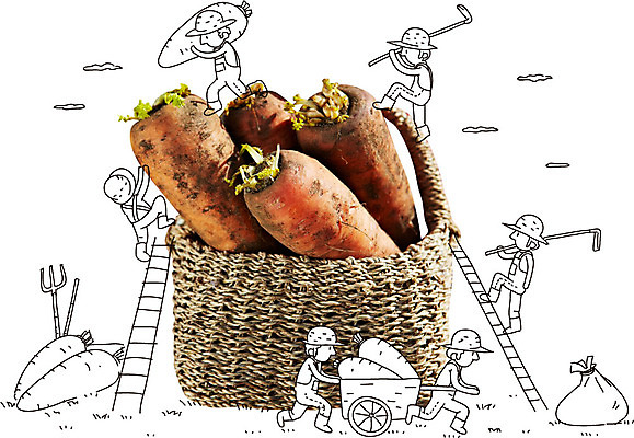 구름 편집이미지 캐릭터 웰빙 남자 채소 사다리 포토일러 노동자 사람 여러명 농작물 수레 당근 수확 농기구 보따리 유기농 남자만 이미지편집 AI파일 자연요소 직업 다수 농업 뿌리채소 카트 도구 파일형식 벡터