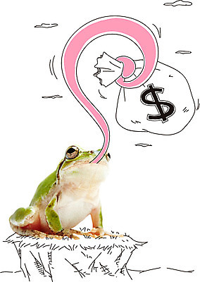 동물 구름 편집이미지 한마리 비즈니스 포토일러 개구리 사람없음 금융 달러 화폐기호 돈자루 먹이 혀 청개구리 이미지편집 AI파일 자연요소 1 기호 돈 양서류 경제 입 화폐 파일형식 벡터