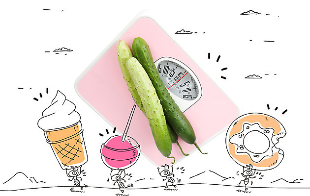 동물 구름 편집이미지 캐릭터 음식 곤충 다이어트 채소 포토일러 아이스크림 오이 사탕 들기 사람없음 도넛 몸무게 체중계 개미 이미지편집 AI파일 자연요소 모션 디저트 건강 파일형식 벡터