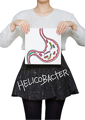 편집이미지 배너 여자 포토일러 건강 한명 들기 사람 상반신 성인 치료 치마 장기 위장 균 헬리코박터 여자만 여자한명만 성인여자만 성인만 이미지편집 AI파일 1 신체 의학 모션 하의 장기_의학 바이러스 파일형식 벡터