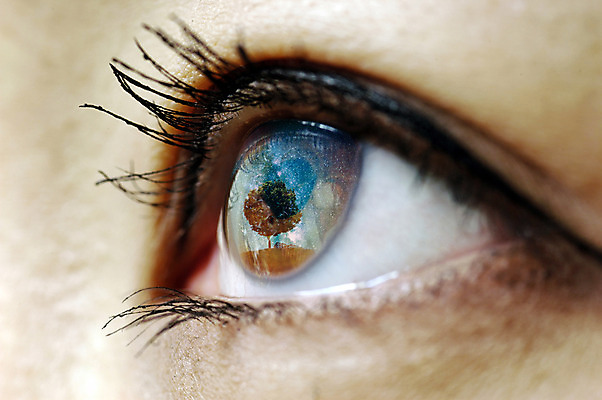 JPG 나무 식물 편집이미지 별 밤하늘 사람 신체부위 반사 3D 꿈 눈동자 디지털합성 과거 안구 디지털아트 편집실사 편집3D 자연요소 컨셉 하늘 눈_신체부위 야간 CG 파일형식