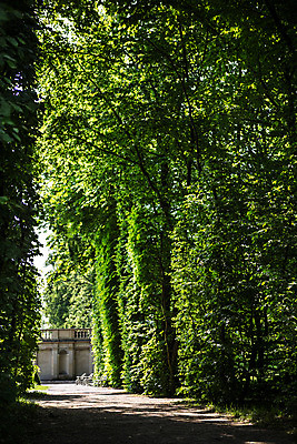 포토 JPG 주간 나무 식물 해외풍경 유럽 자연 풍경 사람없음 야외 동유럽 폴란드 바르샤바 빌라노우궁전 국내포토 자연요소 해외 나라 궁전 생태계 파일형식