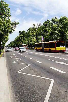 포토 JPG 주간 나무 식물 해외풍경 유럽 도로 자동차 자연 하늘 버스 풍경 사람없음 야외 동유럽 폴란드 바르샤바 국내포토 자연요소 해외 나라 길 육상교통 교통시설 대중교통 생태계 파일형식