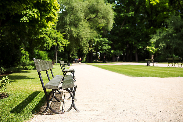 포토 JPG 주간 나무 식물 해외풍경 공원 유럽 벤치 자연 풍경 사람없음 야외 아웃포커스 동유럽 폴란드 바르샤바 와지엔키공원 국내포토 자연요소 해외 공공시설 나라 의자 촬영기법 생태계 파일형식