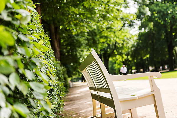 포토 JPG 주간 나무 식물 해외풍경 공원 유럽 벤치 자연 풍경 사람없음 야외 동유럽 폴란드 바르샤바 와지엔키공원 국내포토 자연요소 해외 공공시설 나라 의자 생태계 파일형식