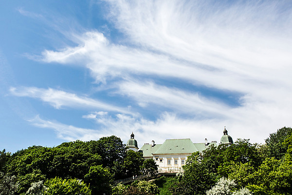 포토 JPG 주간 나무 식물 구름 해외풍경 공원 유럽 자연 하늘 풍경 사람없음 야외 건물 동유럽 폴란드 바르샤바 와지엔키공원 국내포토 자연요소 해외 건축물 공공시설 나라 생태계 파일형식